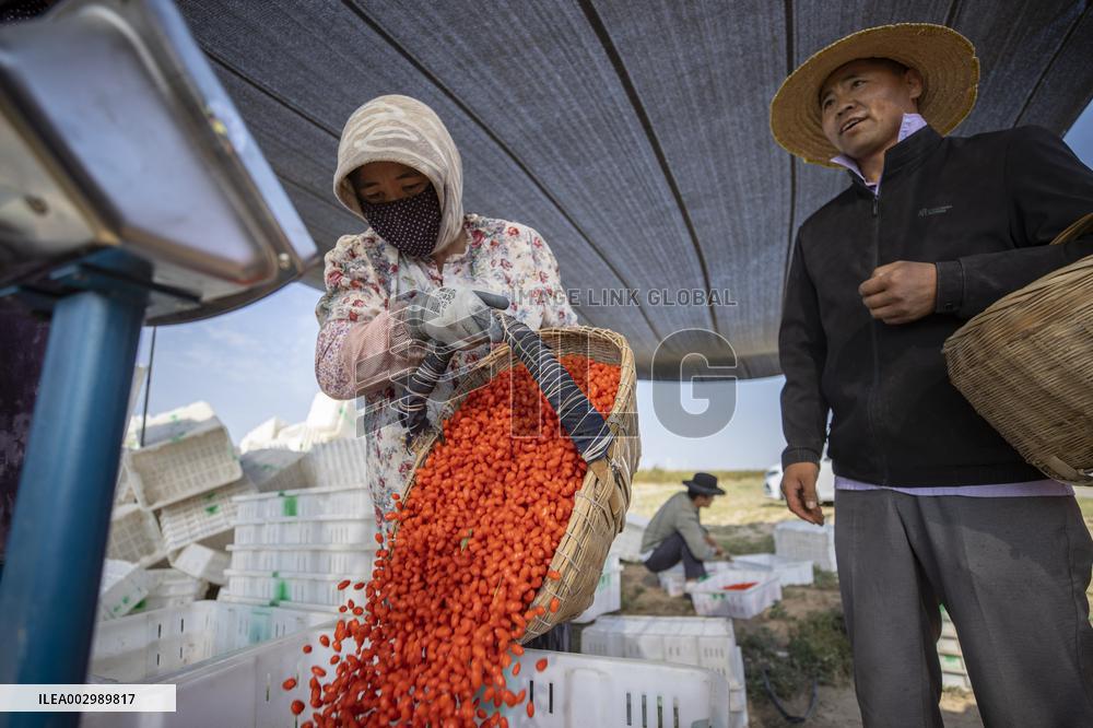 XINHUA PHOTOS OF THE DAY