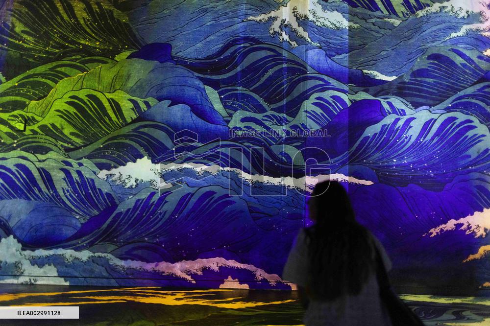 Van Gogh, Starry Night Immersive Exhibition Press Visit - Paris