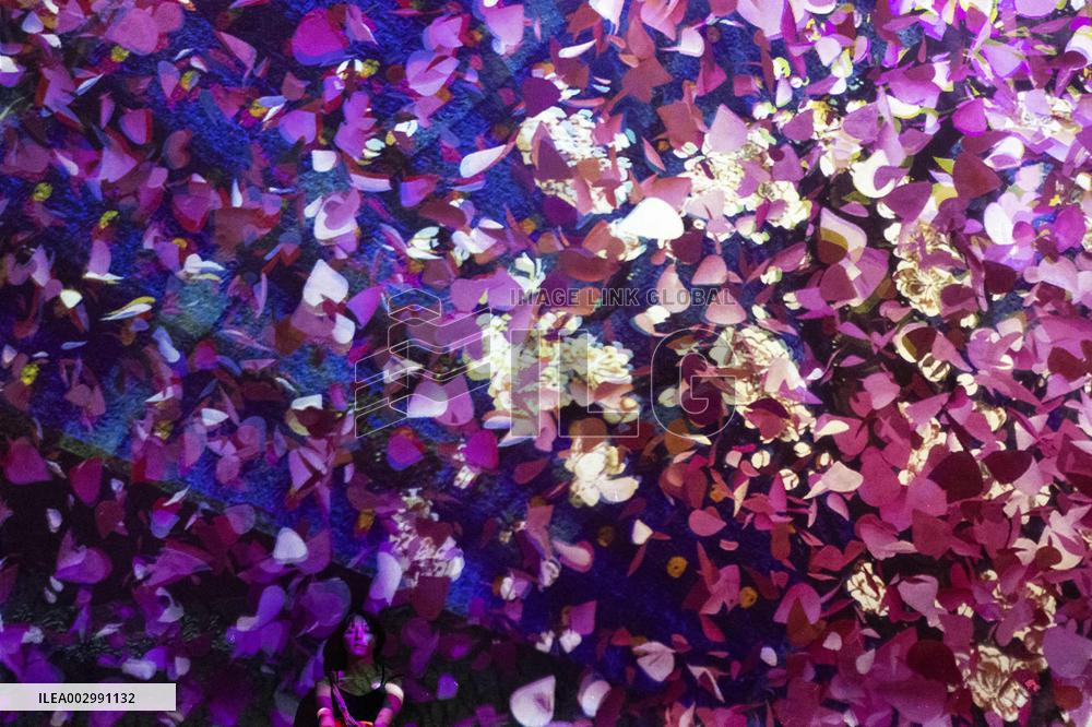 Van Gogh, Starry Night Immersive Exhibition Press Visit - Paris