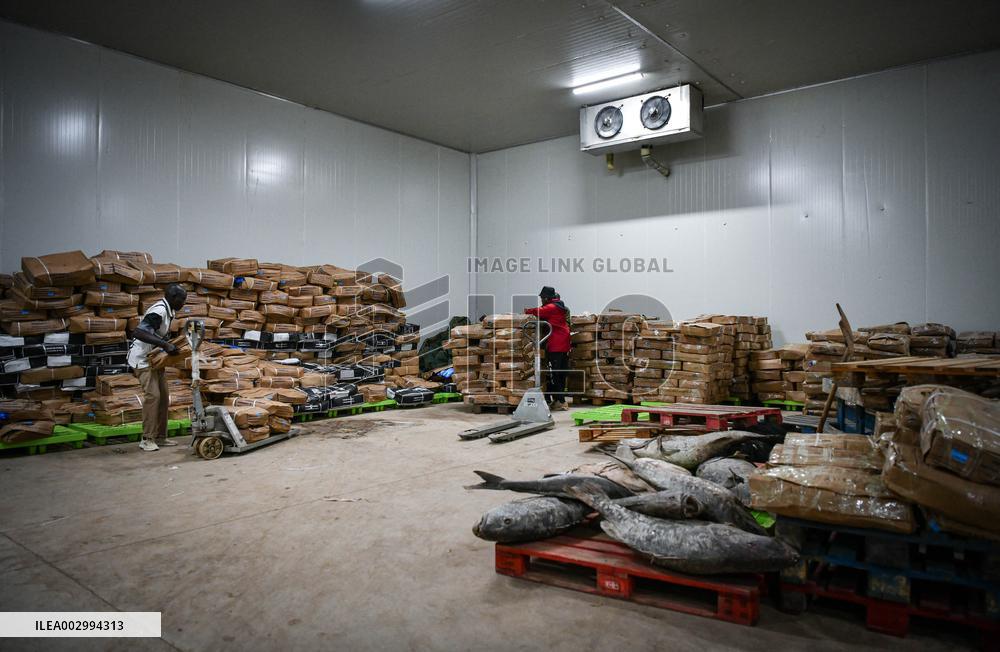 GUINEA-BISSAU-BISSAU-CHINA-COOPERATION-FISHERY INDUSTRY