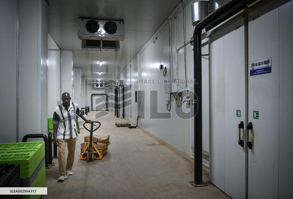 GUINEA-BISSAU-BISSAU-CHINA-COOPERATION-FISHERY INDUSTRY