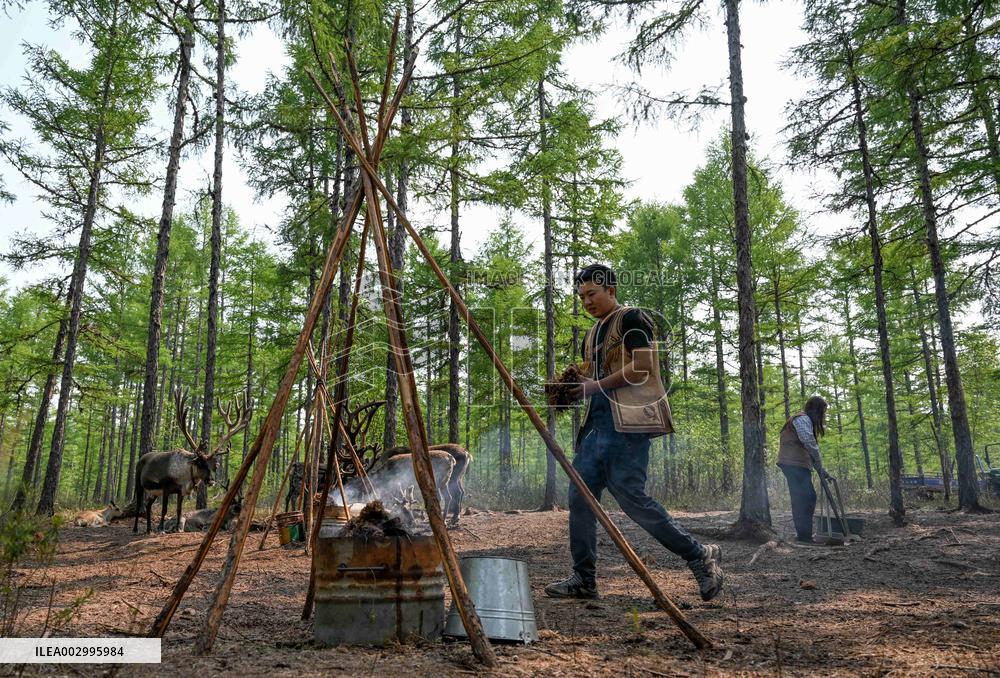 ChineseToday | Young couple inherit Aoluguya Ewenki legacy in forests in north China