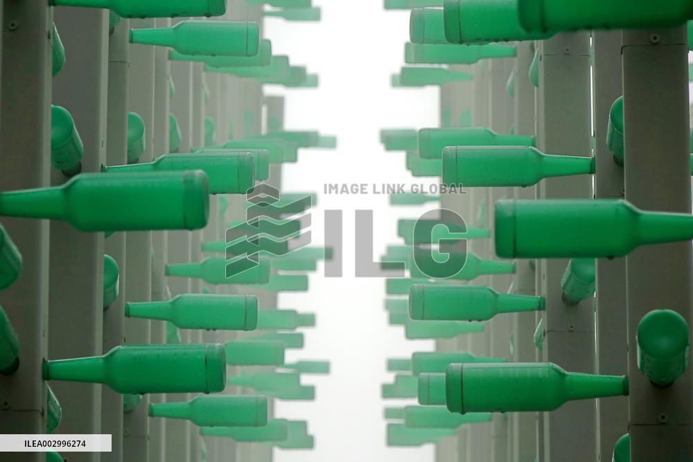 Beer Jungle in Qingdao