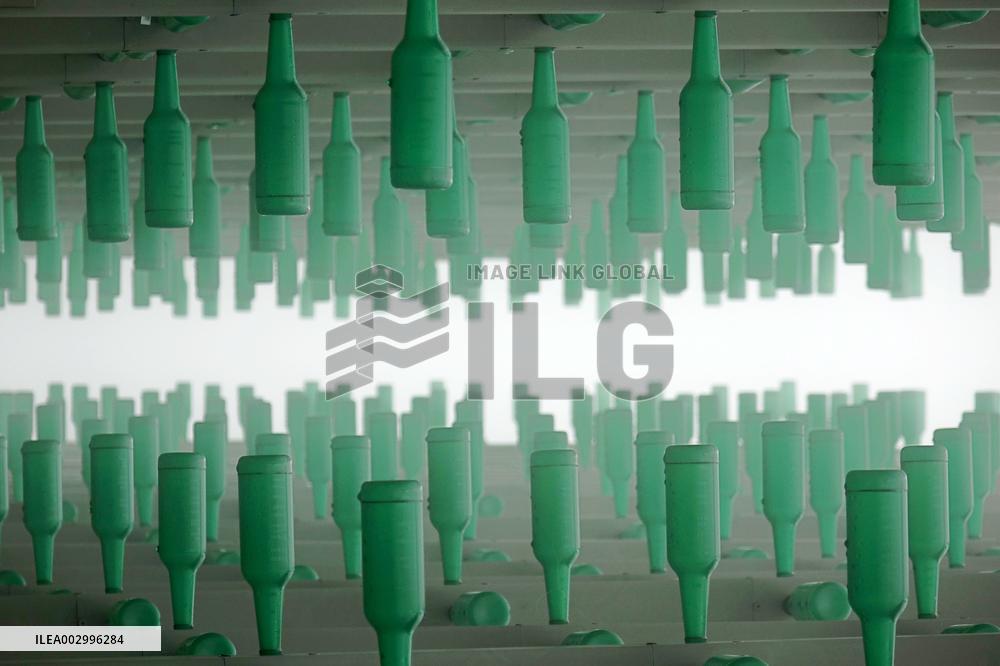 Beer Jungle in Qingdao