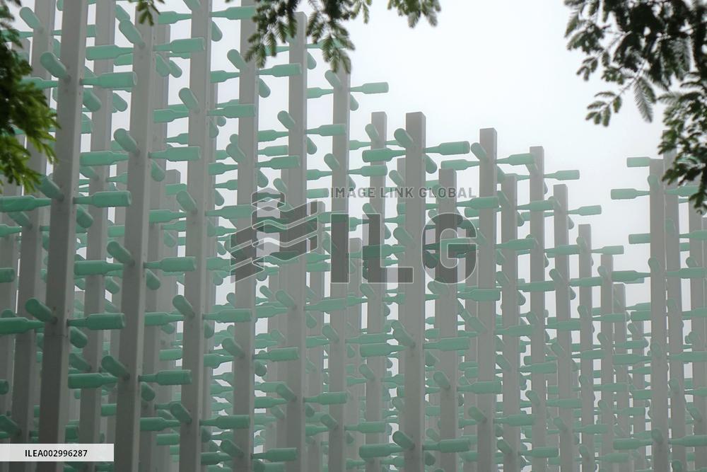 Beer Jungle in Qingdao
