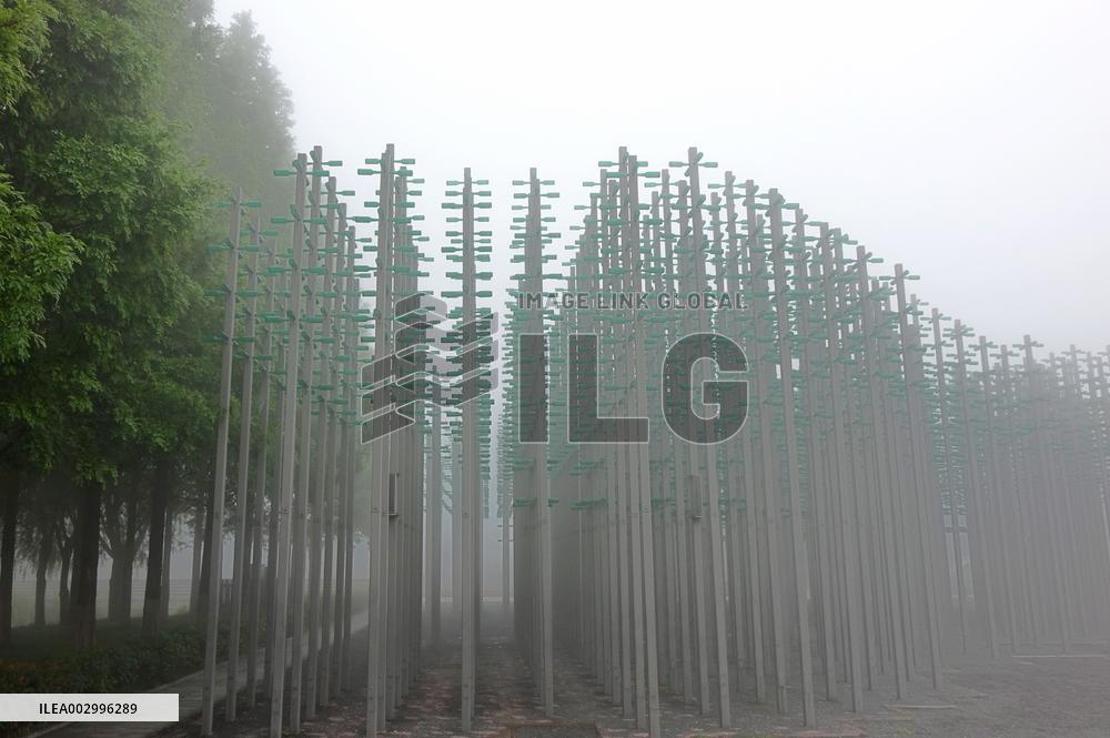 Beer Jungle in Qingdao