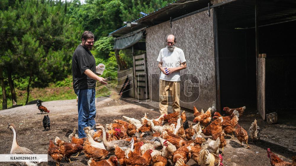"Laowai" in China | Belgian youth leads idyllic life in SW China