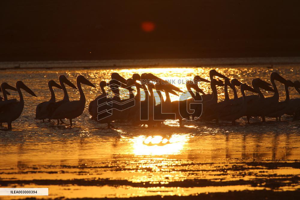 XINHUA PHOTOS OF THE DAY