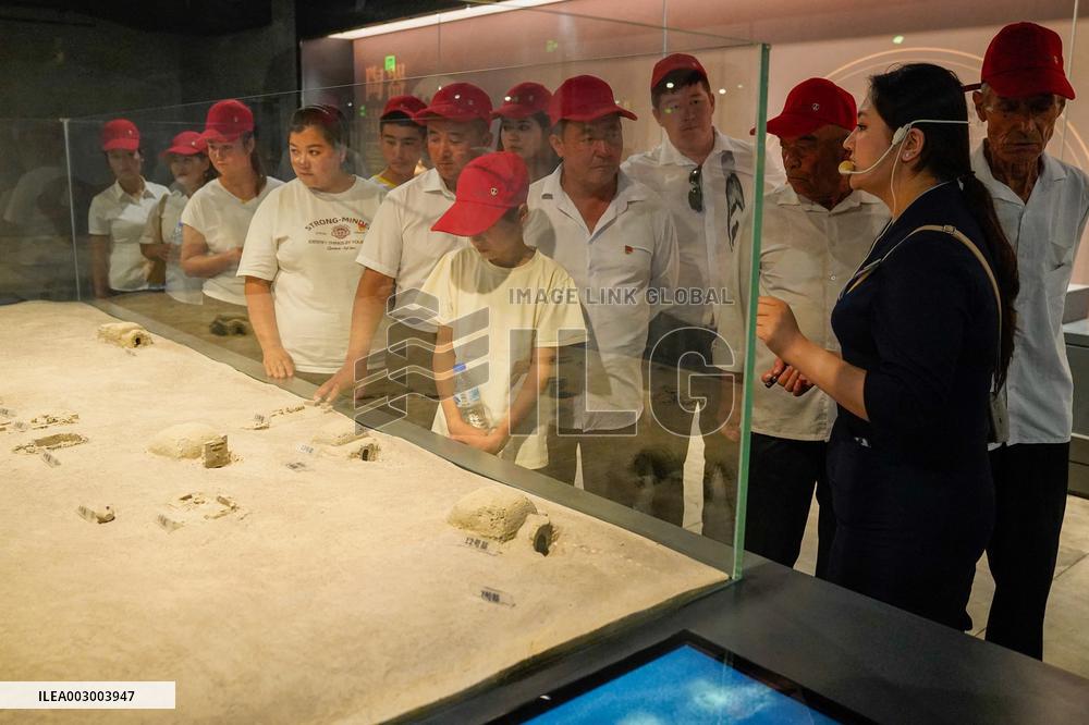 Wei And Jin Dynasties Ancient Tombs Site Museum - Kuqa City