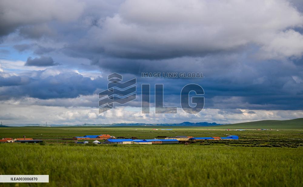CHINA-INNER MONGOLIA-WEST UJIMQIN BANNER-GRASSLAND-SCENERY (CN)