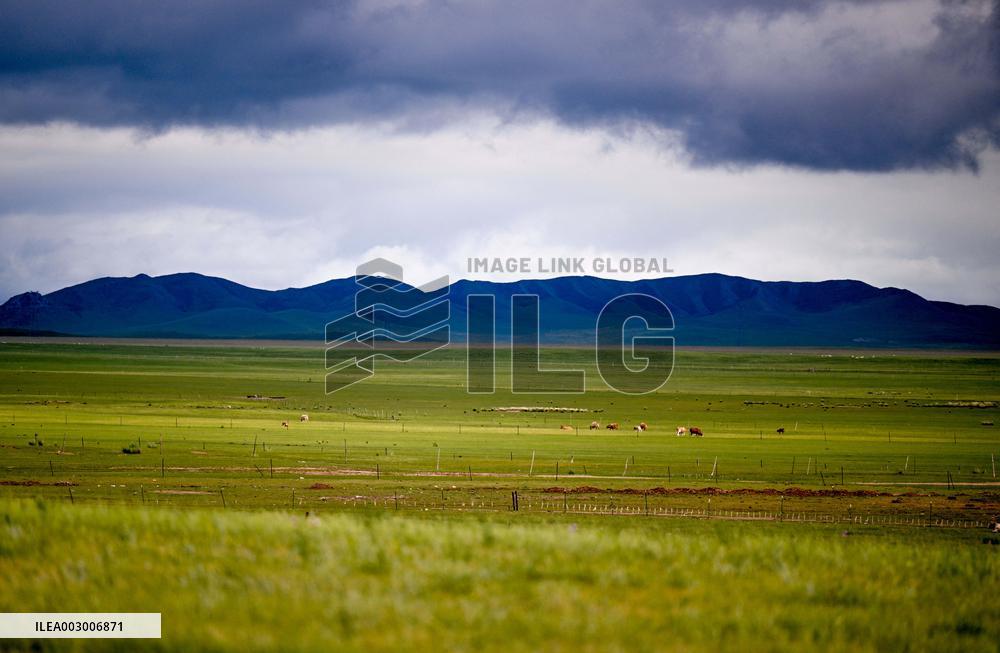 CHINA-INNER MONGOLIA-WEST UJIMQIN BANNER-GRASSLAND-SCENERY (CN)