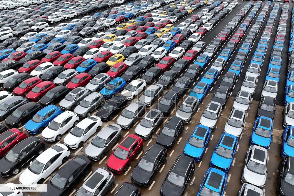 2024 H1 New Energy Vehicles Export Growth