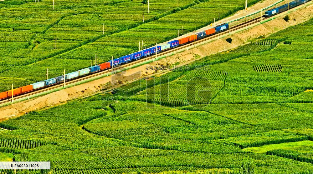 China Largest Maize Seed Production Base