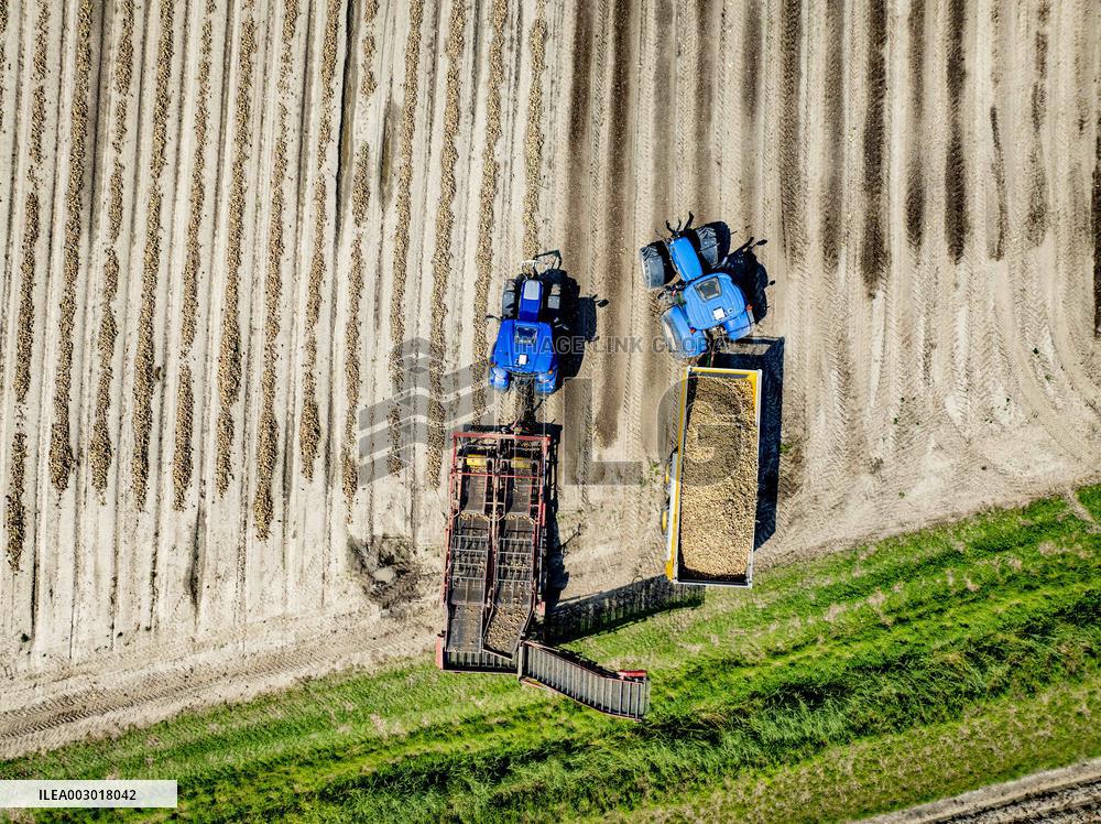 Harvest - Netherlands
