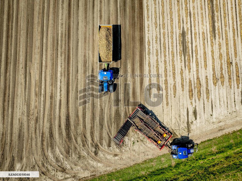 Harvest - Netherlands