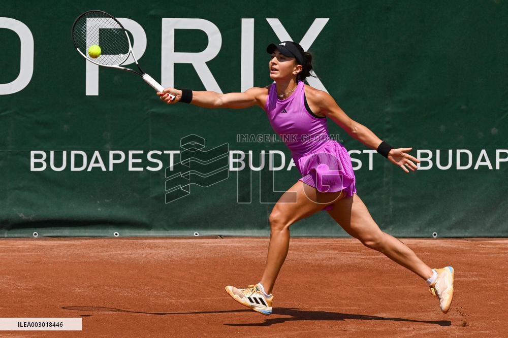 International Tennis match - WTA Hungarian Grand Prix - Quarter finals