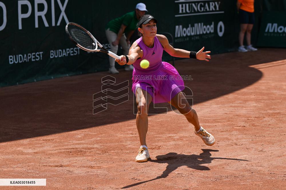 International Tennis match - WTA Hungarian Grand Prix - Quarter finals