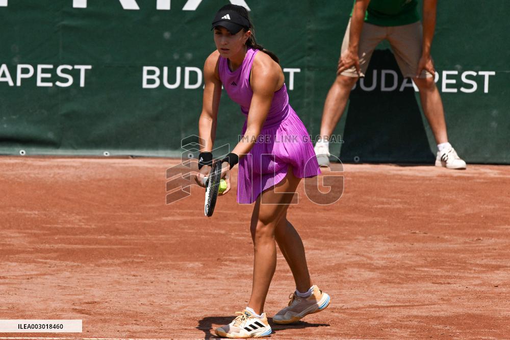 International Tennis match - WTA Hungarian Grand Prix - Quarter finals