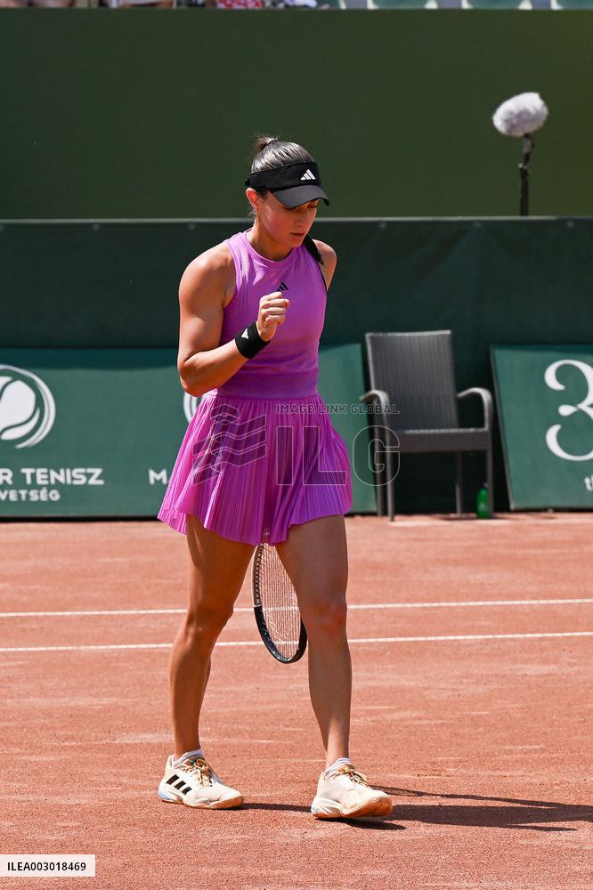International Tennis match - WTA Hungarian Grand Prix - Quarter finals