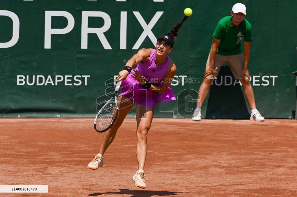 International Tennis match - WTA Hungarian Grand Prix - Quarter finals