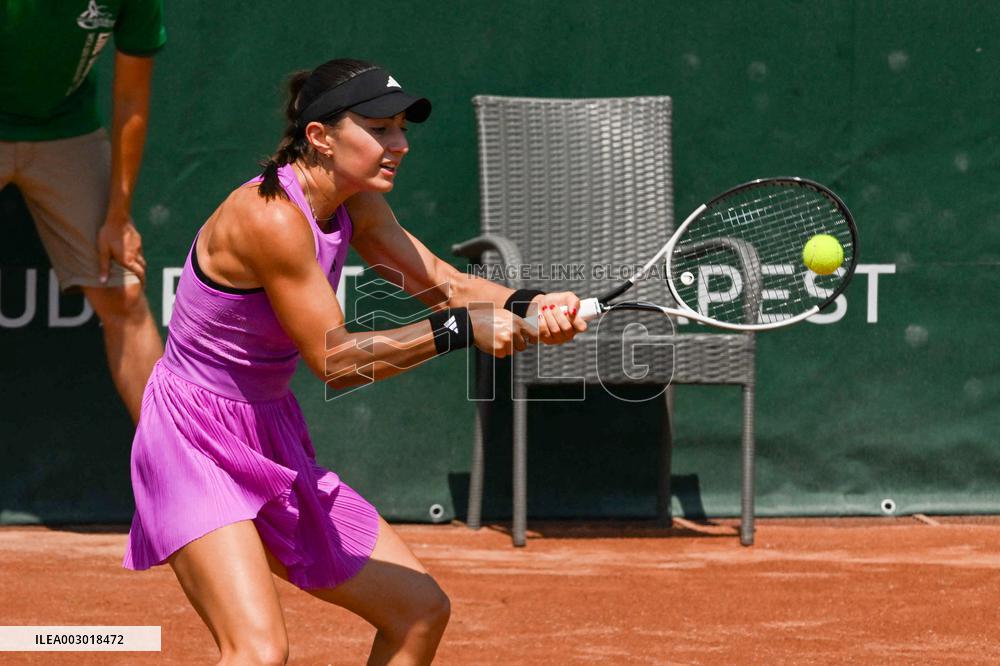 International Tennis match - WTA Hungarian Grand Prix - Quarter finals