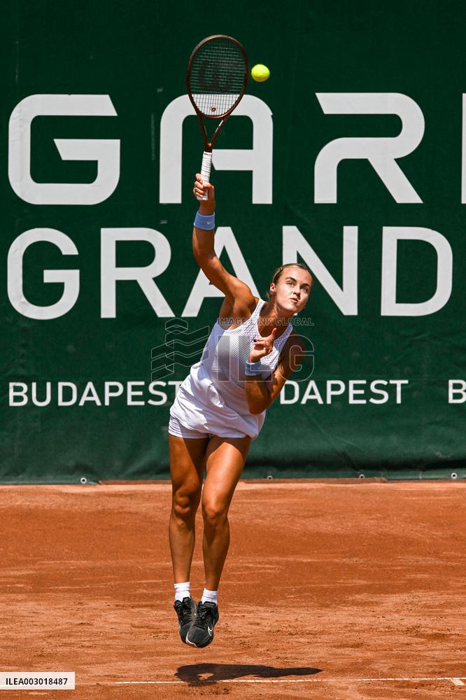 International Tennis match - WTA Hungarian Grand Prix - Quarter finals