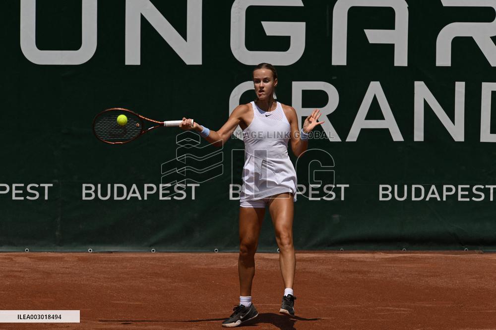 International Tennis match - WTA Hungarian Grand Prix - Quarter finals