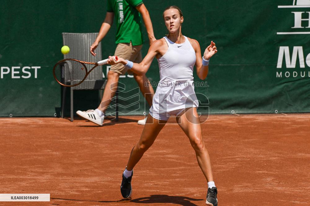 International Tennis match - WTA Hungarian Grand Prix - Quarter finals