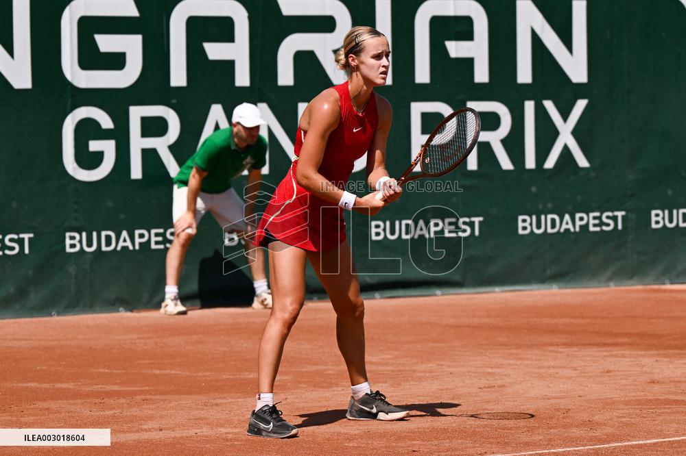 International Tennis match - WTA Hungarian Grand Prix - Quarter finals