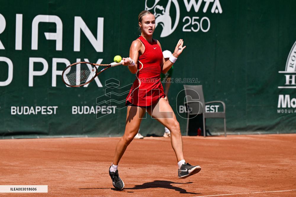 International Tennis match - WTA Hungarian Grand Prix - Quarter finals