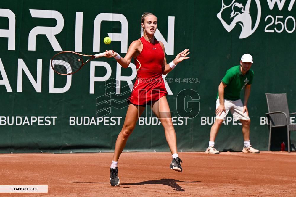 International Tennis match - WTA Hungarian Grand Prix - Quarter finals