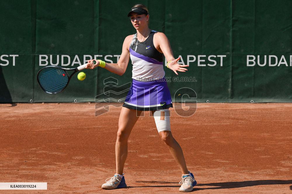 International Tennis match - WTA Hungarian Grand Prix - Quarter finals