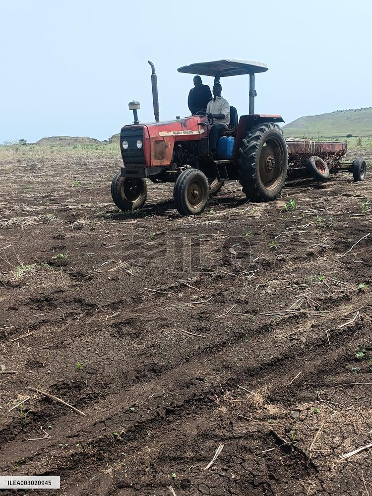 SUDAN-GEDAREF STATE-AGRICULTURAL SEASON