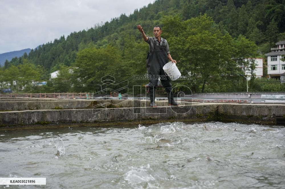 CHINA-CHONGQING-COLD-WATER FISH-BREEDING (CN)