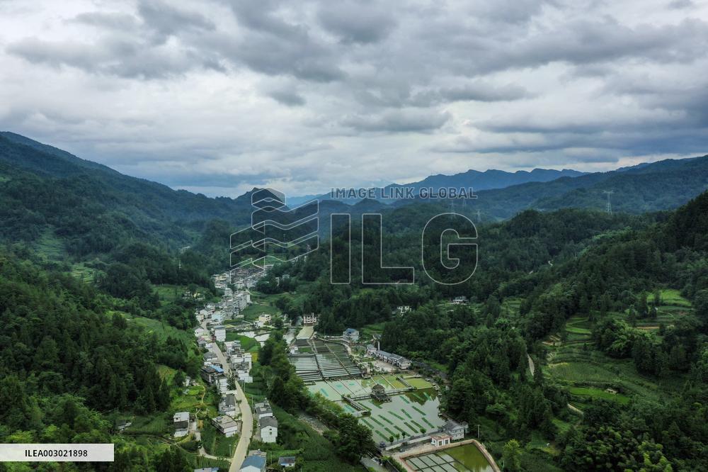 CHINA-CHONGQING-COLD-WATER FISH-BREEDING (CN)