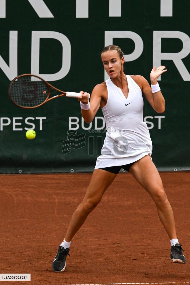 International Tennis match - WTA Hungarian Grand Prix - Semifinal