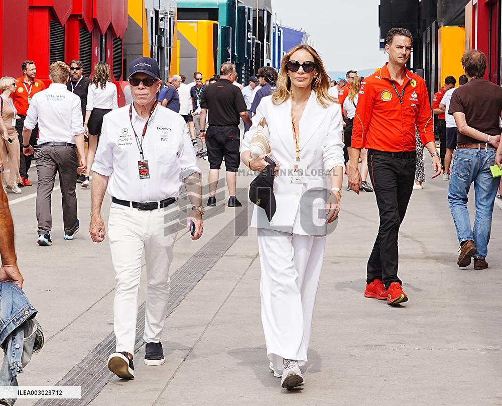 F1 Grand Prix of Hungary - Qualifying