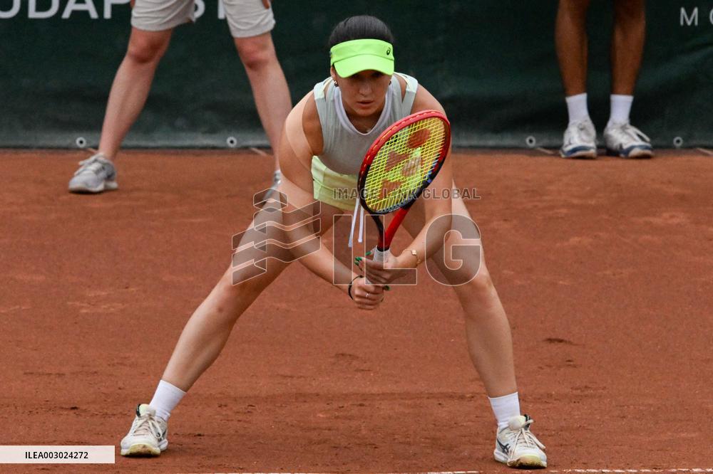 International Tennis match - WTA Hungarian Grand Prix - Semifinal