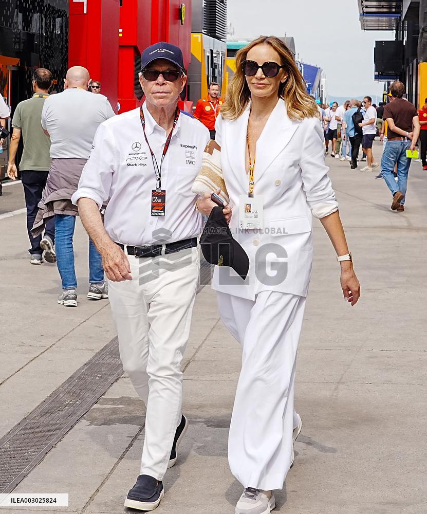 Formula 1 Championship - Formula 1 Hungarian Grand Prix 2024 - Practice 3 and Qualifying