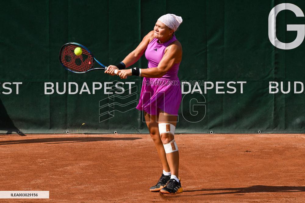 International Tennis match - WTA Hungarian Grand Prix - Final
