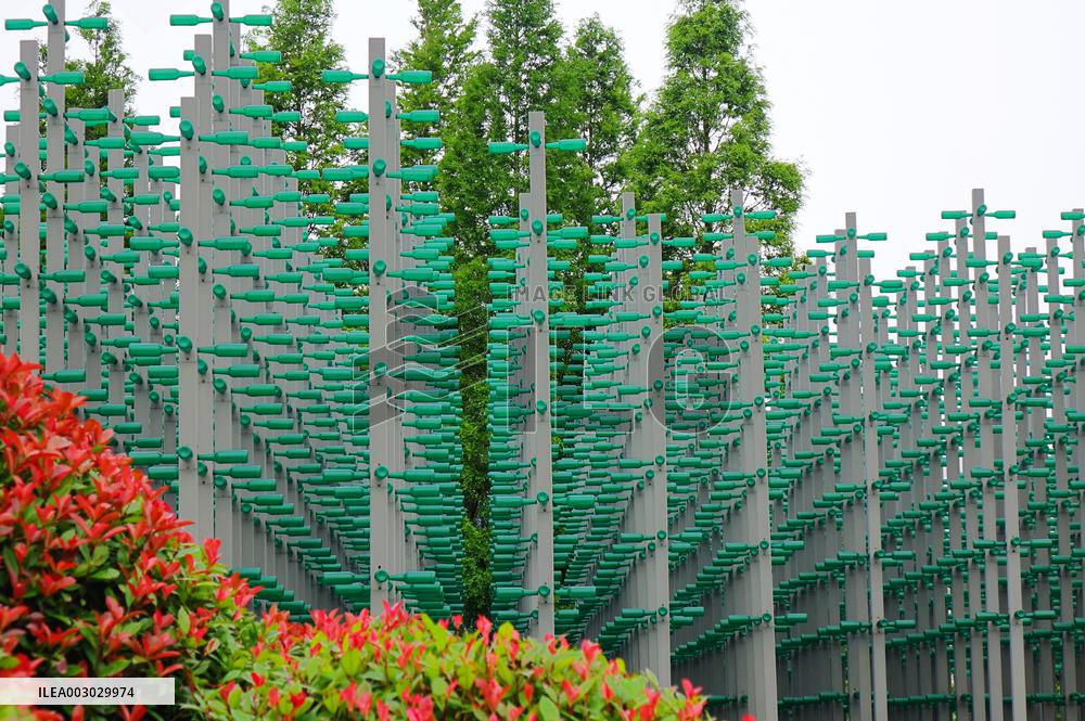 Plastic Beer Bottles