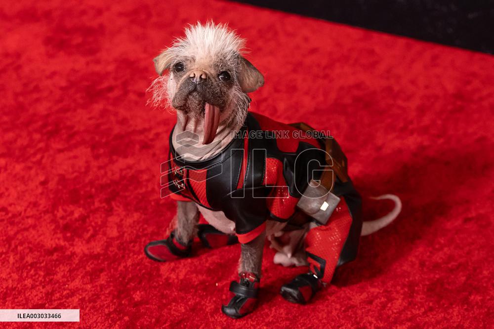 Deadpool & Wolverine Premiere - NYC
