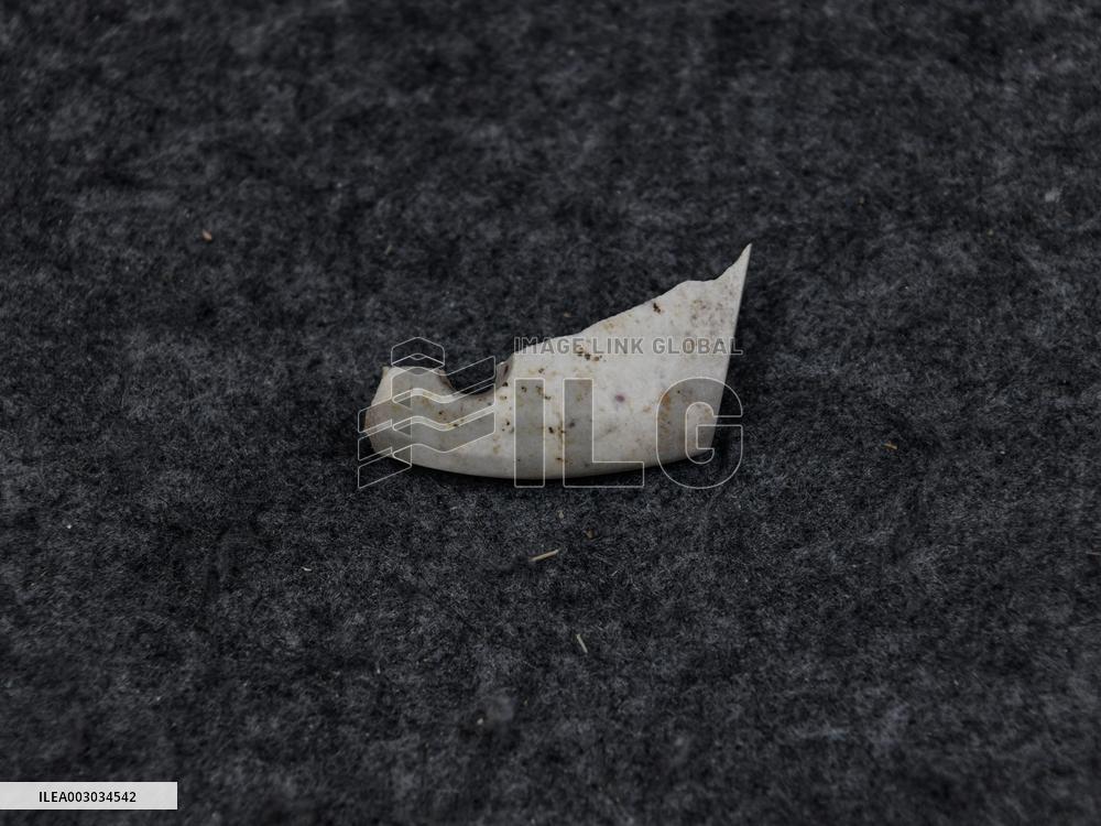 (FOCUS)CHINA-SICHUAN-SANXINGDUI RUINS-DISCOVERIES-WORKSHOP-JADE-STONE (CN)