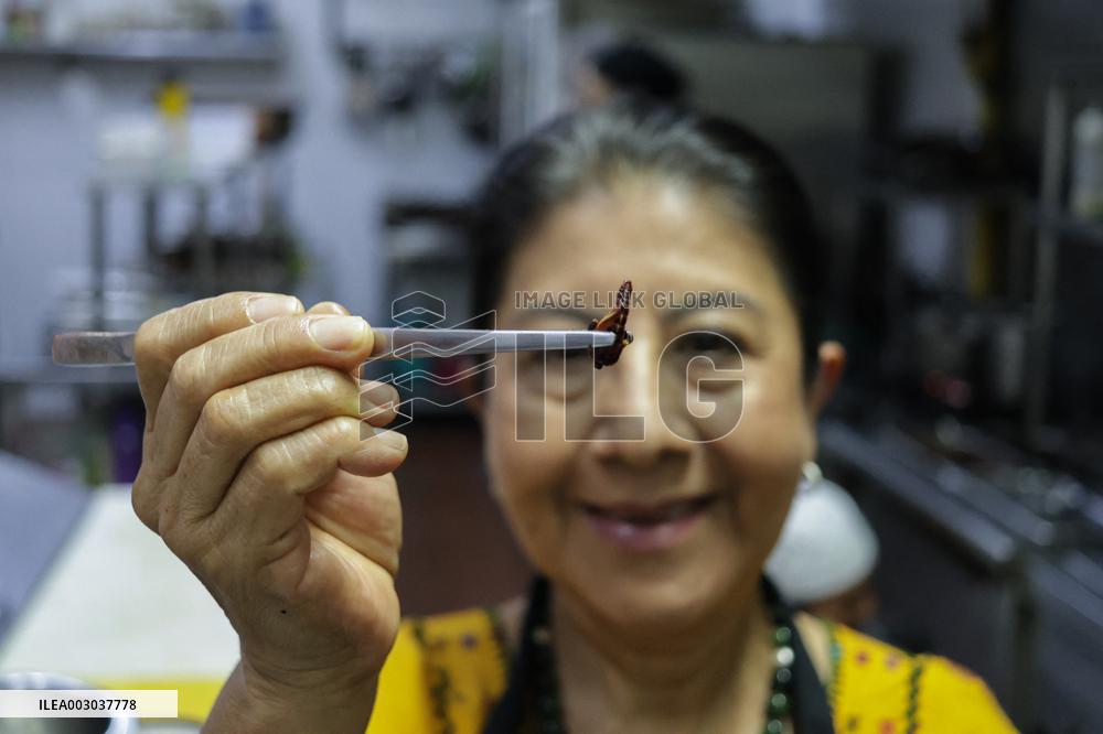 MEXICO-OAXACA-LOCAL CUISINE