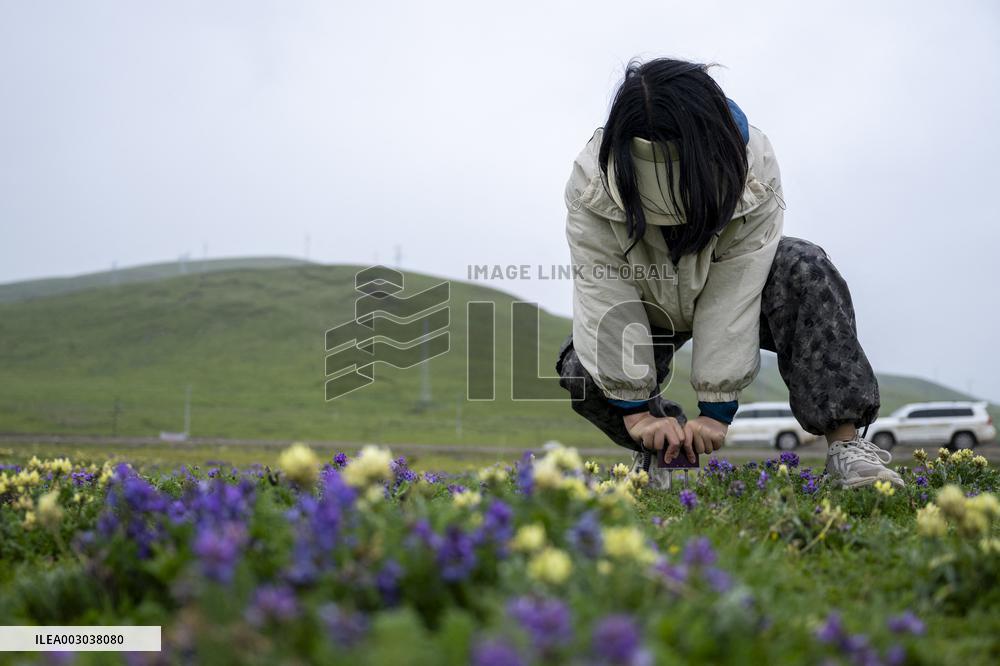 (EyesOnSci)CHINA-QINGHAI-RIVER HEADWATERS-SCIENTIFIC EXPEDITION (CN)