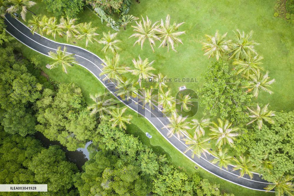 (HainanOutlook) CHINA-HAINAN-SANYA-SUMMER SCENERY (CN)