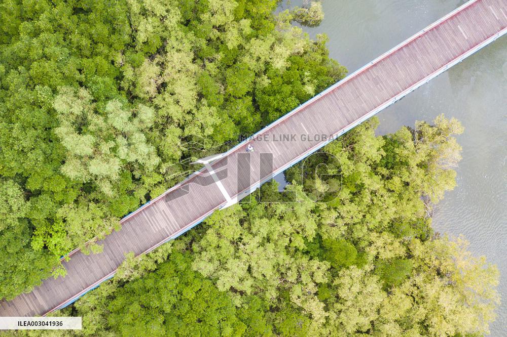 (HainanOutlook) CHINA-HAINAN-SANYA-SUMMER SCENERY (CN)