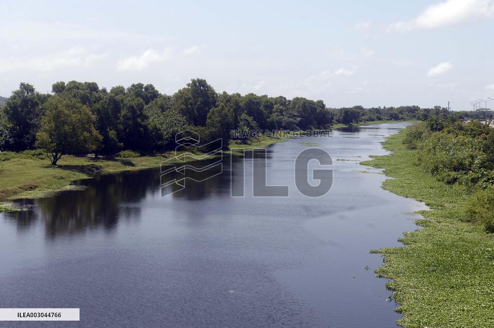 SRI LANKA-MANGROVES-WETLANDS
