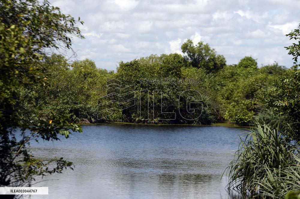 SRI LANKA-MANGROVES-WETLANDS