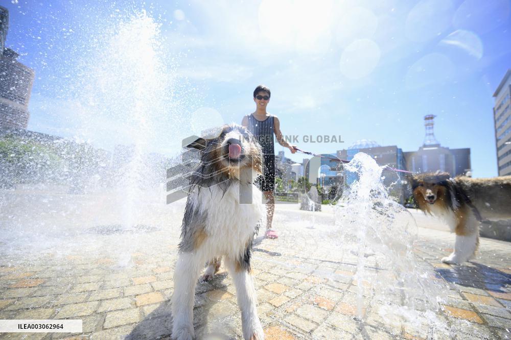 Summer heat in Japan